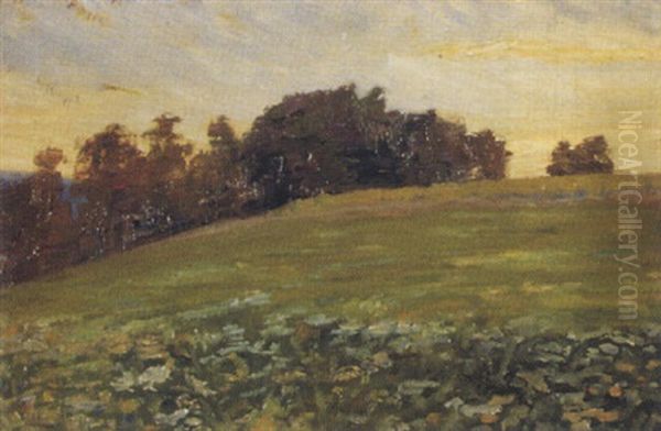 Sommerwiese Bei Homberg In Abendlicht Oil Painting by Franz Jakob Elmiger