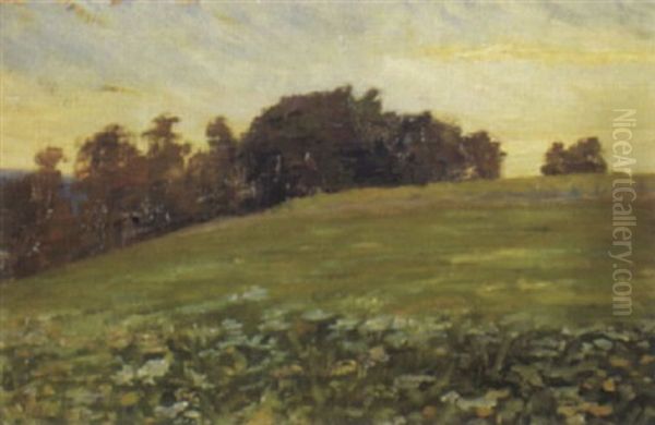 Sommerwiese Bei Homberg Im Abendlicht Oil Painting by Franz Jakob Elmiger