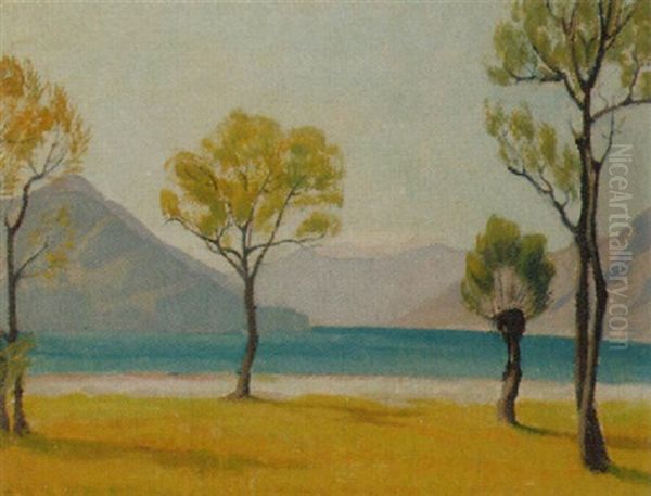 Blick Auf See Und Gebirge Oil Painting by Franz Jakob Elmiger