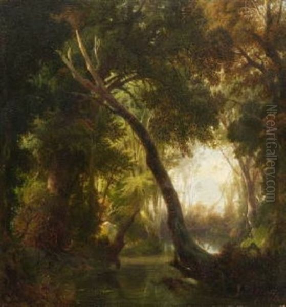 Waldinneres Mit Bachlauf Oil Painting by Julius Elsasser