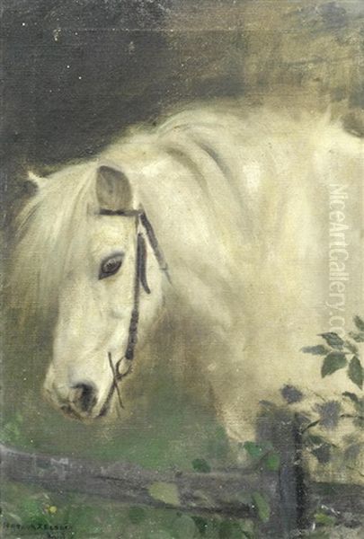 Head Of A Horse Oil Painting by Arthur John Elsley