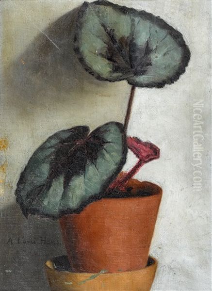 Begonia Masoniana Oil Painting by Hans Emmenegger