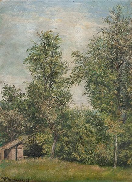 Baumlandschaft Mit Holzschopf Oil Painting by Hans Emmenegger