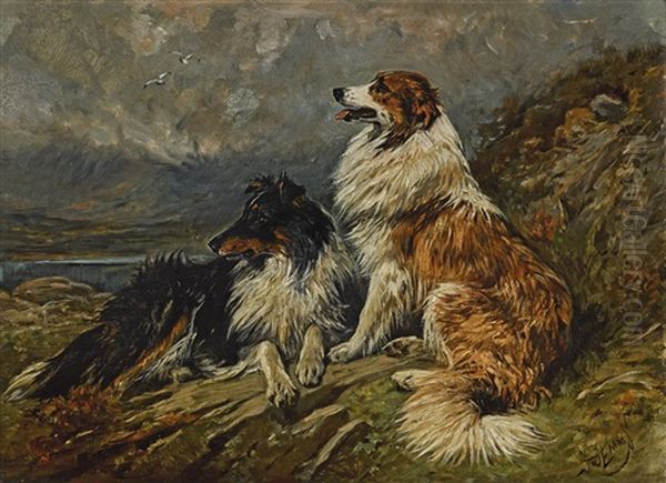 Collies On The Moor Oil Painting by John Emms