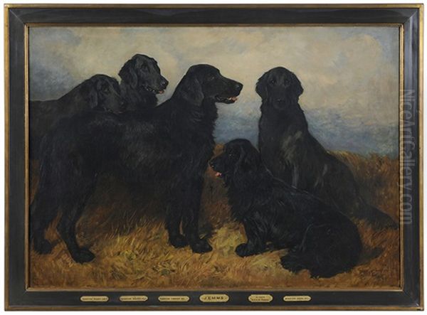 Portrait Of Four Retrievers And A Black Spaniel Oil Painting by John Emms