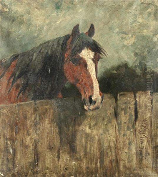 Study Of A Horse At A Fence Oil Painting by John Emms