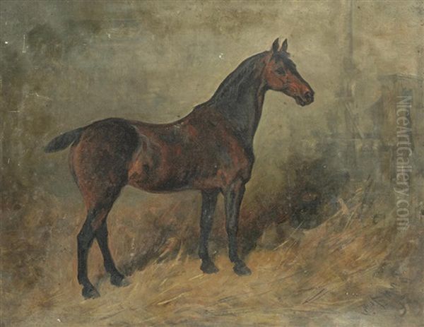 Study Of A Horse Oil Painting by John Emms