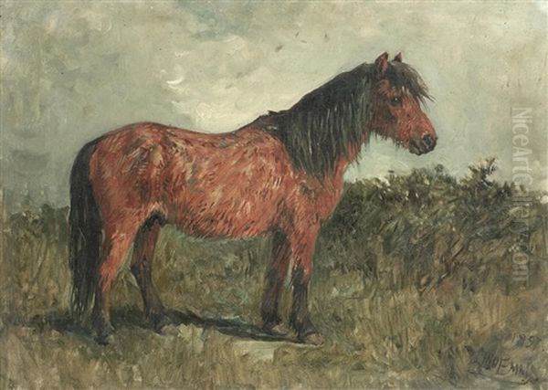 A Shetland Pony Oil Painting by John Emms