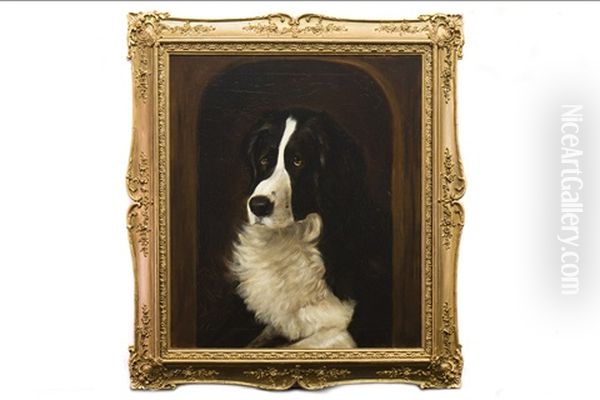 A Collie At The Door Of His Kennel Oil Painting by John Emms