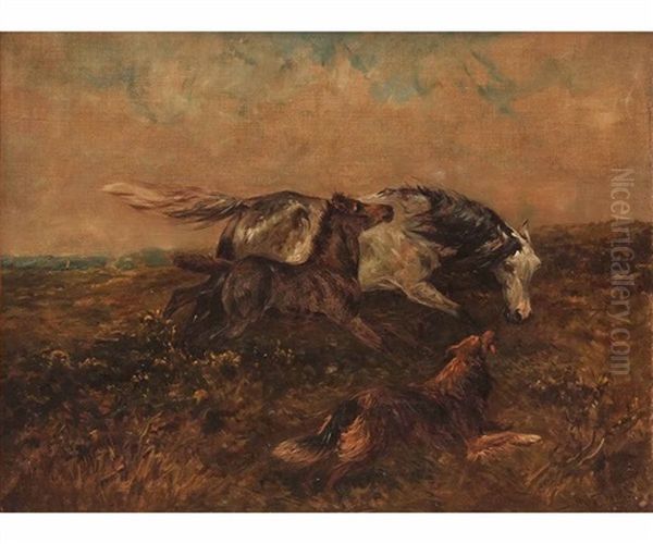 Runaway Horses With Dog Oil Painting by John Emms