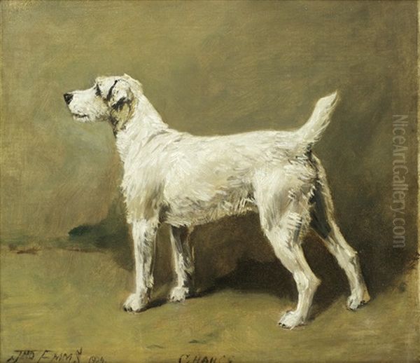 Portrait Of The Terrier 'chance Oil Painting by John Emms