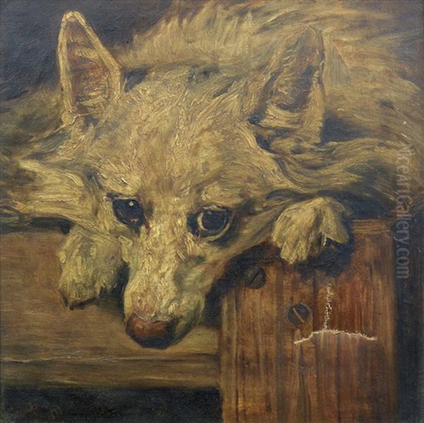 Portrait Of Scamp Oil Painting by John Emms