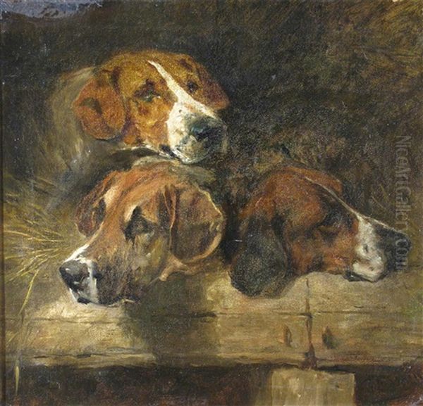 Study Of Three Hounds Oil Painting by John Emms