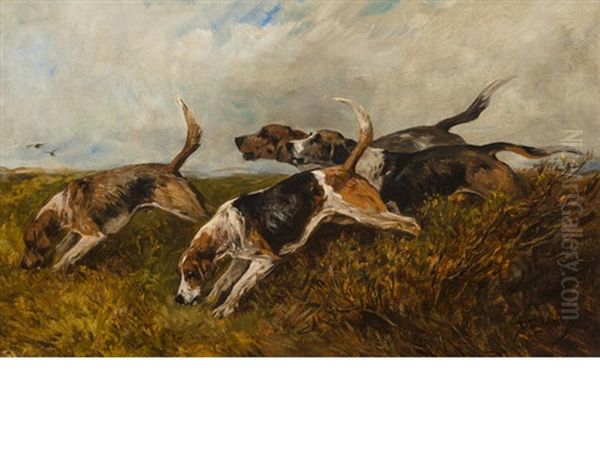 Hounds On The Scent Oil Painting by John Emms