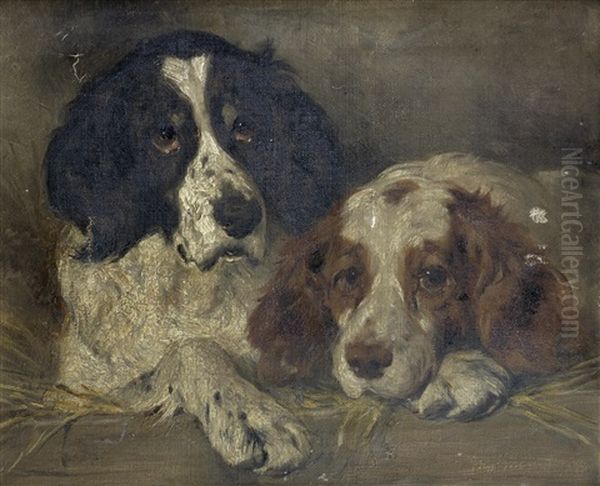 Spaniels Resting Oil Painting by John Emms