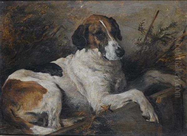 A Study Of The Fox Hound Nick Oil Painting by John Emms