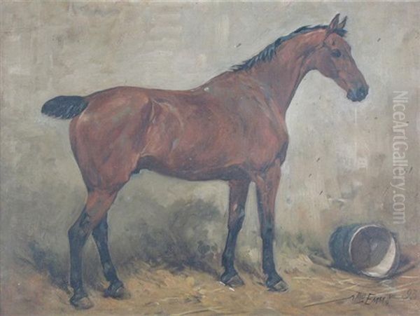 Bobby, A Bay Hunter, In A Stable Oil Painting by John Emms