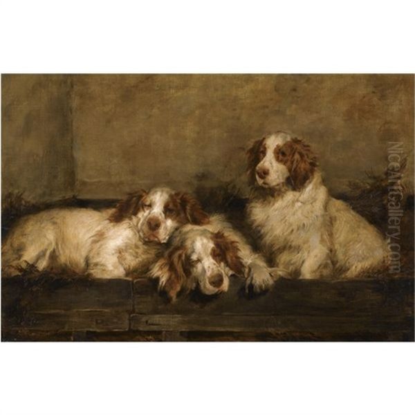 Cocker Spaniels In A Kennel Oil Painting by John Emms