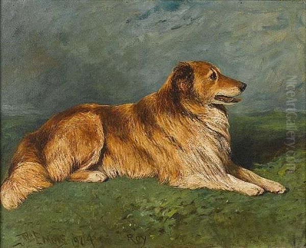 "roy" - A Collie In A Landscape Oil Painting by John Emms