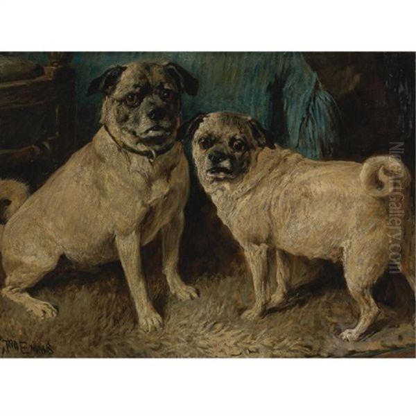 Pair Of Pugs Oil Painting by John Emms