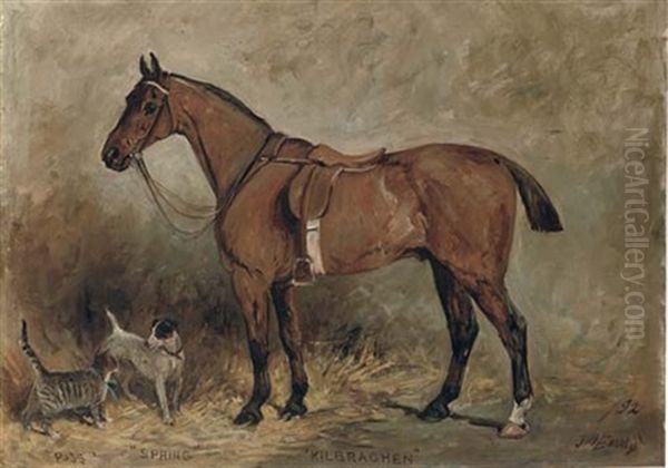 "kilbrachen", A Saddled Hunter With "puss", A Kitten And "spring", A Jack Russell Terrier Oil Painting by John Emms