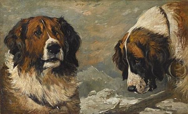 Study Of A St. Bernard Oil Painting by John Emms