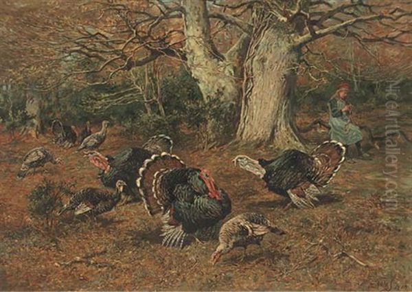 The Turkey Girl Oil Painting by John Emms