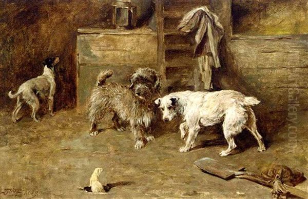 Terriers With A Stoat Oil Painting by John Emms