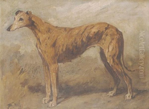 A Brindle Greyhound In A Landscape Oil Painting by John Emms