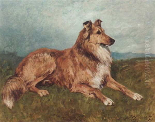 Bobs, A Collie In A Landscape Oil Painting by John Emms