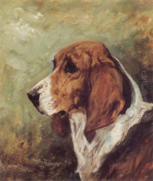 Study Of The Fox Hound 