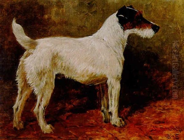 Champion Wire Fox Terrier 