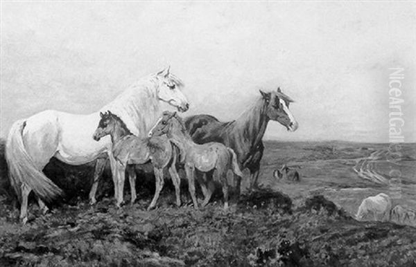 Horses On The Moor by John Emms