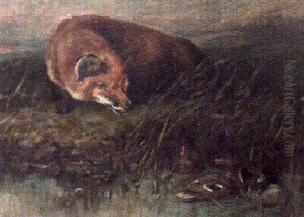 Fox And Ducks Oil Painting by John Emms