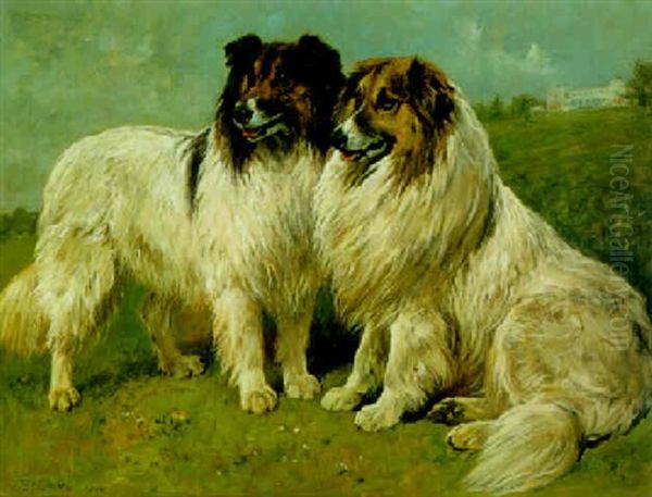 Two Collies Oil Painting by John Emms