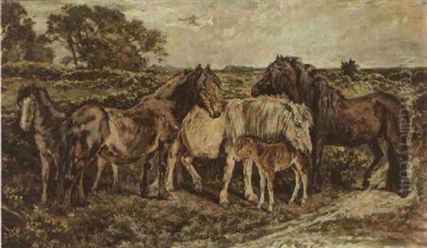 Ponies On A Moor Oil Painting by John Emms