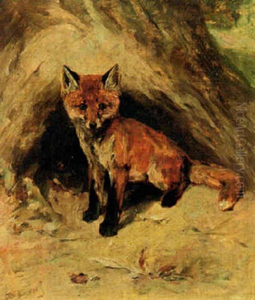 A Fox Cub by John Emms