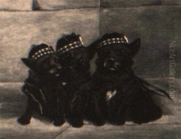 Three Scottish Terriers Wearing Tam O'shanters Oil Painting by John Emms