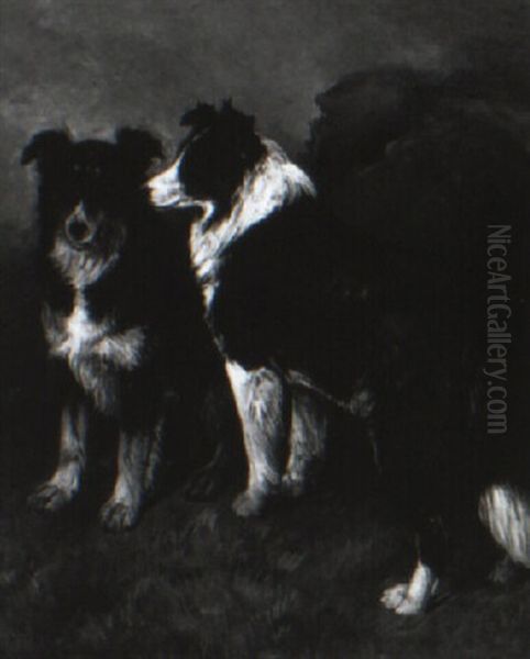 Two Collies In A Highland Landscape Oil Painting by John Emms