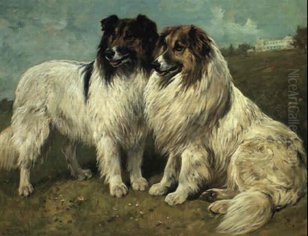 Rough Collies Oil Painting by John Emms