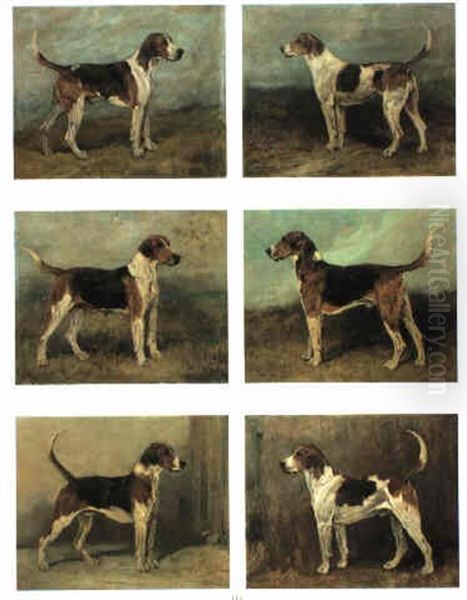 Hounds: Spokesman, Discount, Sanguie, Cristopher , Dexter & Rokeby Oil Painting by John Emms