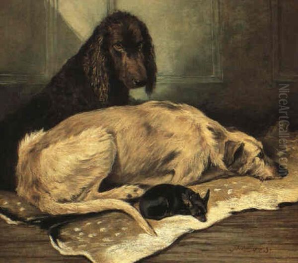 An Irish Water Spaniel, A Scottish Deerhound And An English Toy Terrier... Oil Painting by John Emms