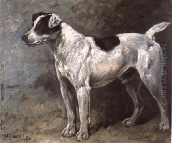 A Jack Russel Oil Painting by John Emms