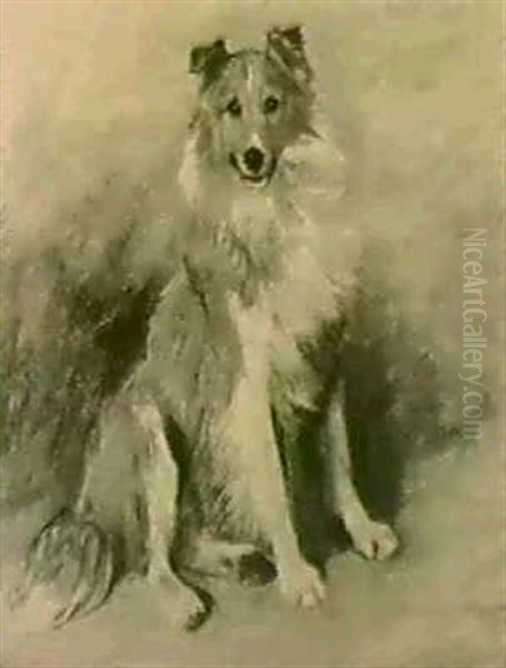 A Portrait Of The Collie 'darkie' Oil Painting by John Emms