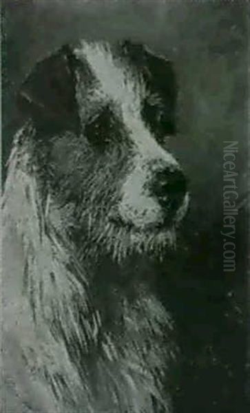 Jim;                                                        Head Of A Jack Russell Oil Painting by John Emms