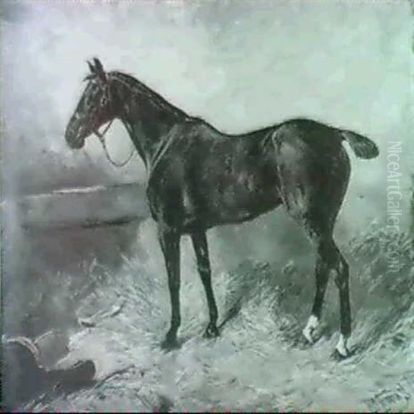 A Horse In A Stable Interior Oil Painting by John Emms