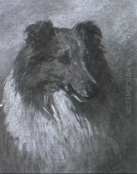 A Border Collie Oil Painting by John Emms