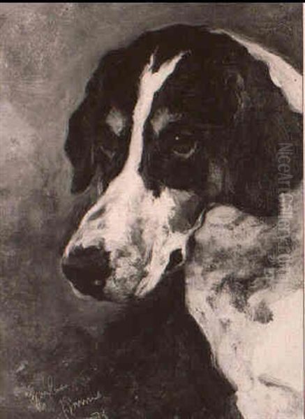 A Head Study Of The Hound Gaylas Oil Painting by John Emms