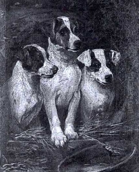 Three Terriers In A Barrel Oil Painting by John Emms