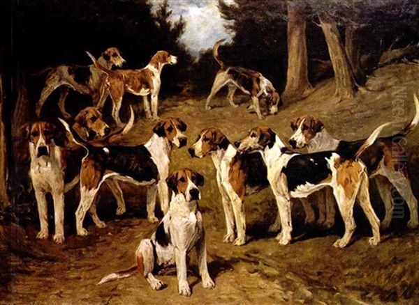 Five Couples Of Hounds Oil Painting by John Emms